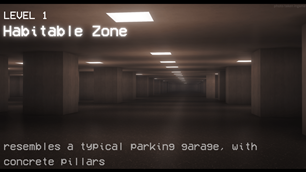LEVEL 1