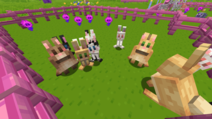 Rabbits