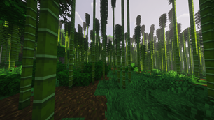 Middle Of The Island (Shaders)