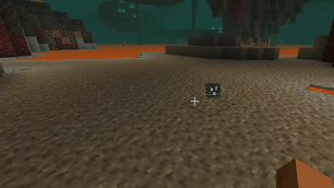 12_nether_plains_companion.png