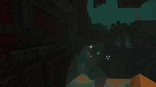 08_nether_floating_companion.png