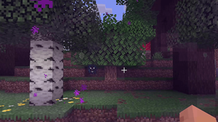 07_portal_transition_forest.png
