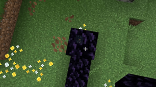 06_ritual_setup_overhead.png