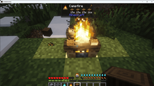 Minecraft__1.20.1_22.08.2026_11_17_52_optimized_1500.png