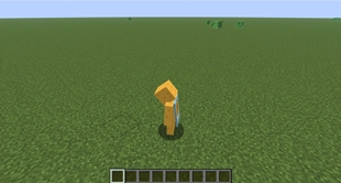 converted_image (1).jpeg
