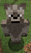 Sherry In Minecraft