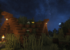 Village🌿🏡🌙
