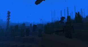Aquatic Life.png