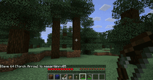 torch_arrow.gif