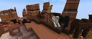 Bactrian Camels.png