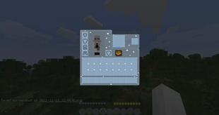 Survival Inventar