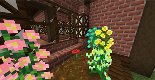 New flowers