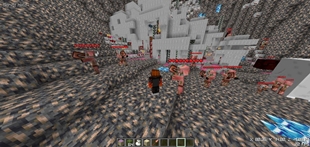 warpedforest.jpeg