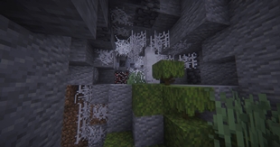 Spider Nest.jpg