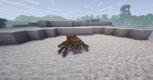 Forest Spider.jpg