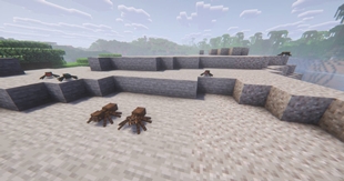 Baby Spiders.jpg