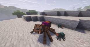Spider Saddle.jpg