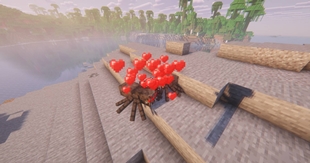 Spider Breeding.jpg