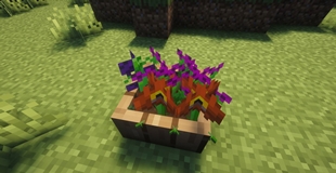 pots_and_petals_05.jpg