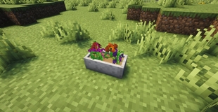 pots_and_petals_04.jpg