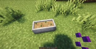 pots_and_petals_03.jpg