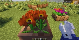 pots_and_petals_02.jpg