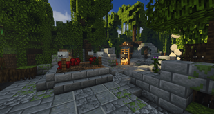Mangrove Covens