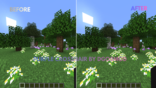 Before/After