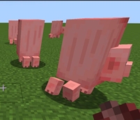 big pig funny bug