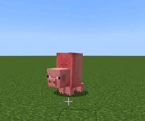 big pig funny bug side