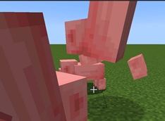 big pigs attack normal pig 2