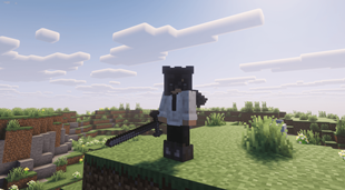 LongSword