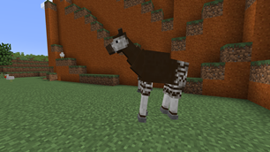 Okapi