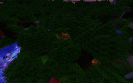 Hidden Forest Base