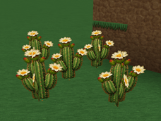 Screenshot 2026-08-23 171324.png