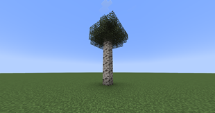 Normal tree... right?