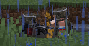 image1.png