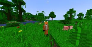 Grass in the jungle
