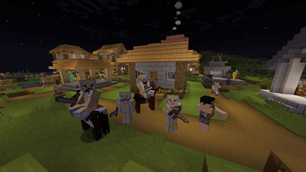 Village Patrol