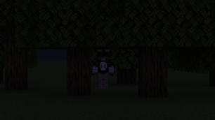 second image