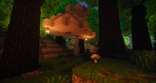 Mushroom