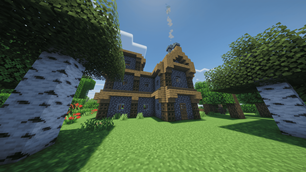 Villager House