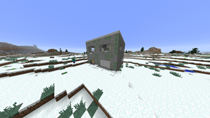 Snow Stone House