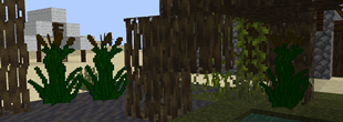 cattails