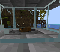muskrat in a cage