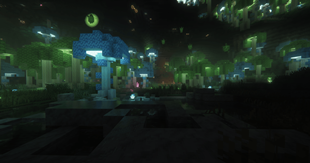 Layer One - Lanterns in Bioshroom Forest