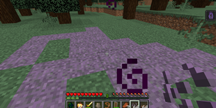 Screenshot 2026-08-24 212109.png