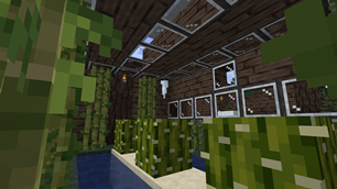 Seasons and Farming