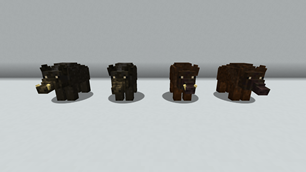 Wild Boar Variants - Front
