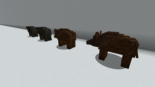 Wild Boar Variants - Side